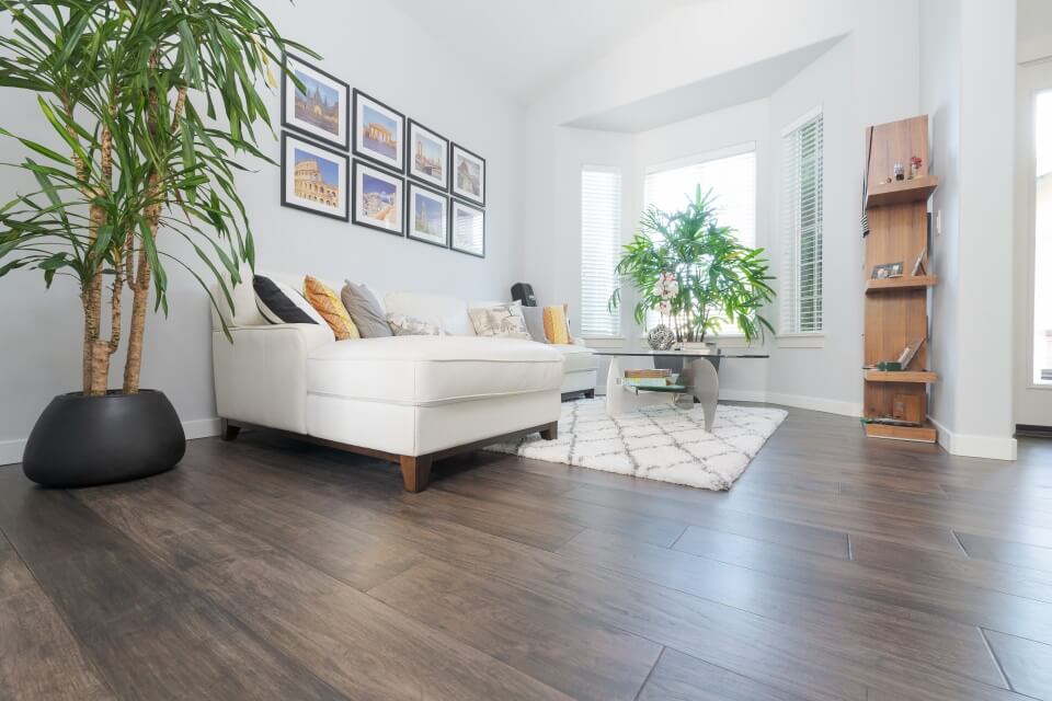 Leviars Tree Service Gallery