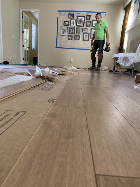 Leviars Tree Service Gallery