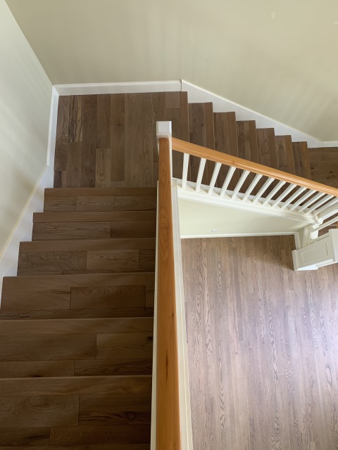 Leviars Tree Service Gallery
